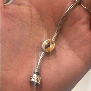 Authentic Southern Miss Pandora Charm